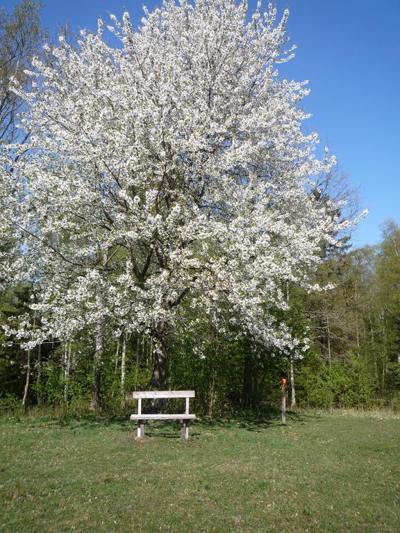 Valle Vandrarhem Axvall Buitenkant foto