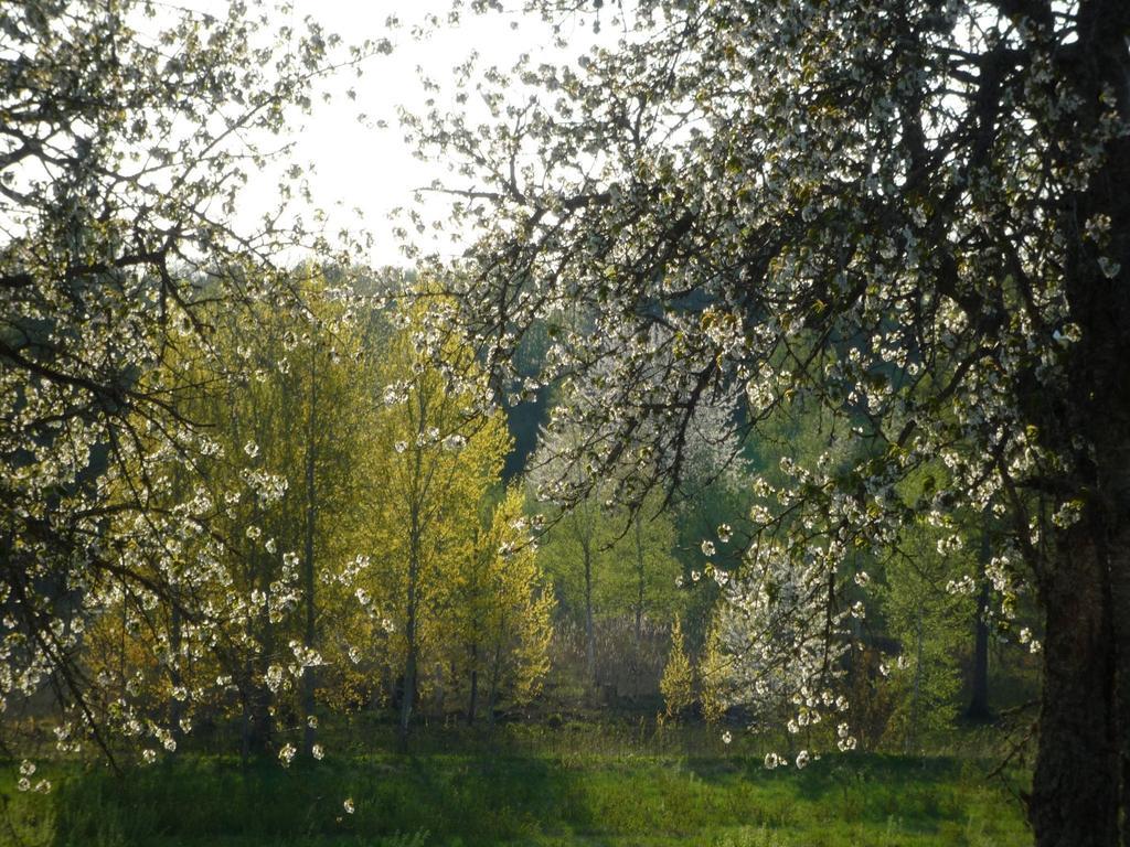 Valle Vandrarhem Axvall Buitenkant foto